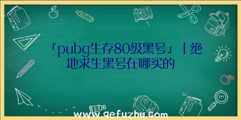 「pubg生存80级黑号」|绝地求生黑号在哪买的